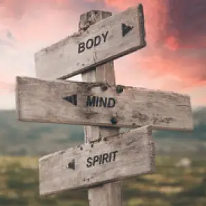 Health and Wellness Retreats at the Artisan Inn Studio Lodge